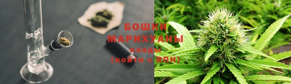 первитин Лабытнанги
