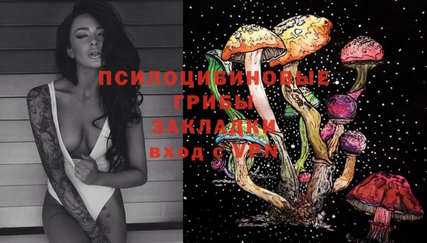 таблы Ладушкин