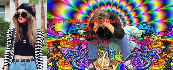 таблы Ладушкин