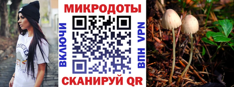 Купить где  Верхнеуральск  Псилоцибиновые грибы мицелий 